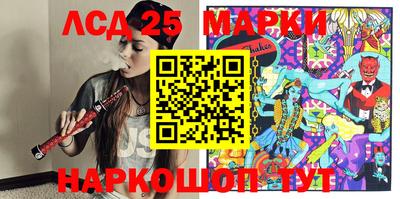 прущие грибы Сланцы