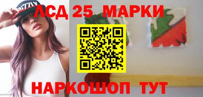 прущие грибы Сланцы
