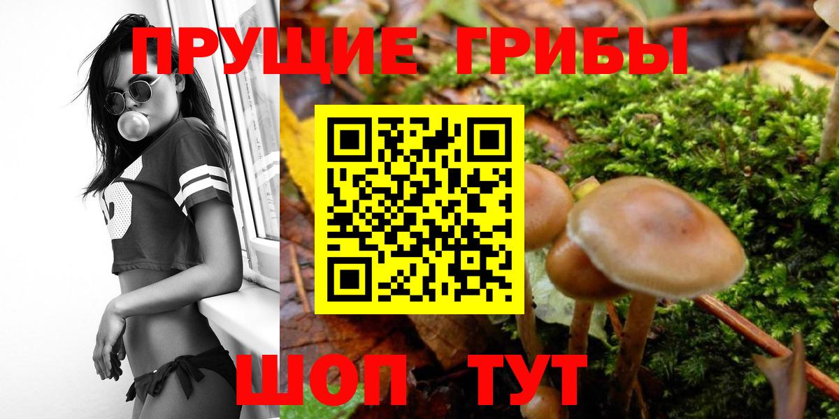 Отрадный  Псилоцибиновые грибы Magic Shrooms  Вход с VPN 